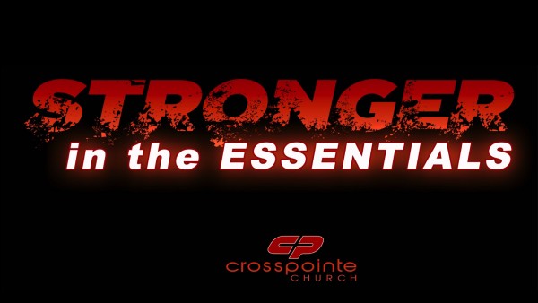 stronger-in-the-essentialsStronger In the Essentials