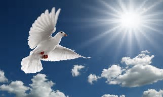 The Crowning Work of the Holy Spirit The Crowning Work of the Holy Spirit