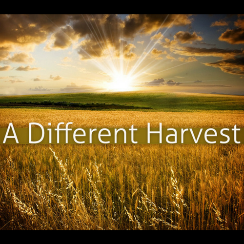 A Different Harvest Part 2 - What are you eating? A Different Harvest Part 2 - What are you eating?