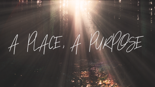 a-place-a-purposeA Place, A Purpose