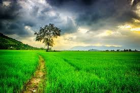 Goodness of creation Goodness of creation