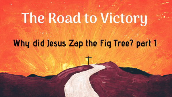 why-did-jesus-zap-the-fig-tree-anyway-part-oneWhy did Jesus Zap the Fig Tree, Anyway? part one