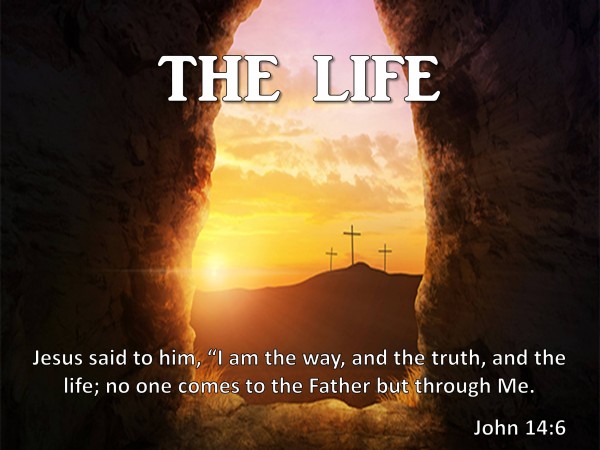 the-lifeThe LIFE