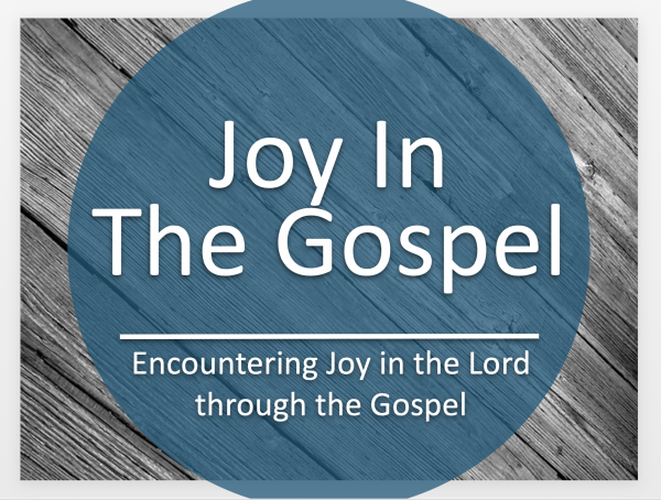 purchased-for-joyPurchased for Joy