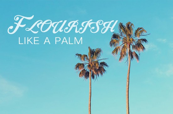 flourish-like-a-palm-tree-part-2Flourish Like a Palm Tree Part 2