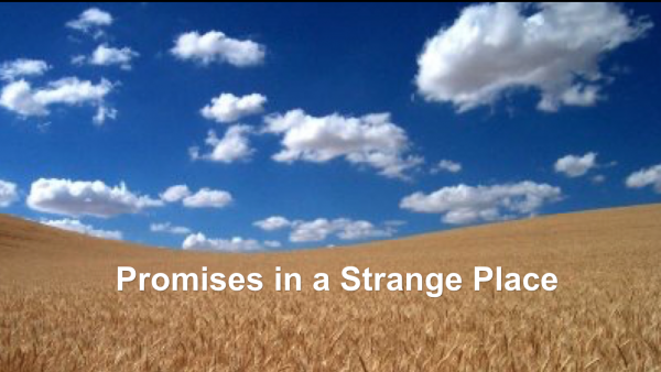 Promises in the Strange Place Promises in the Strange Place
