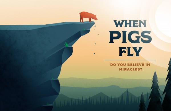 the-miracle-of-provisionThe Miracle of Provision