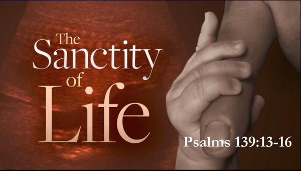Sanctity of Life Sanctity of Life