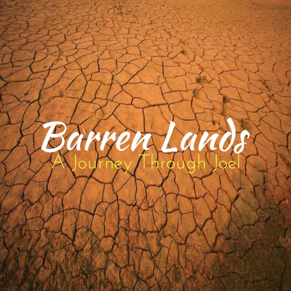 barren-lands-1-ruinedBarren Lands #1 -