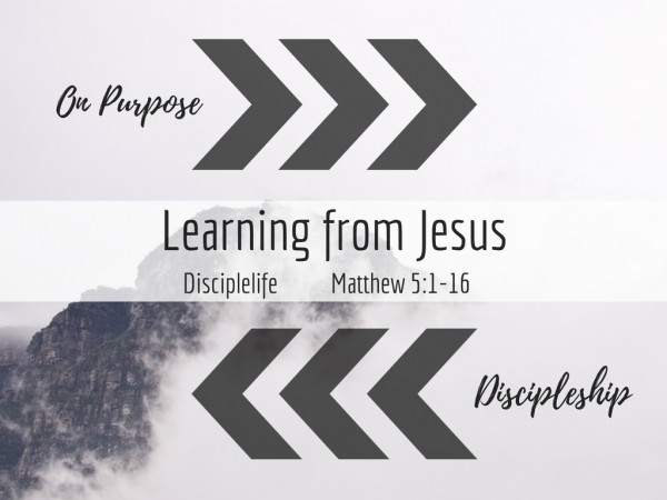 Disciplelife Disciplelife