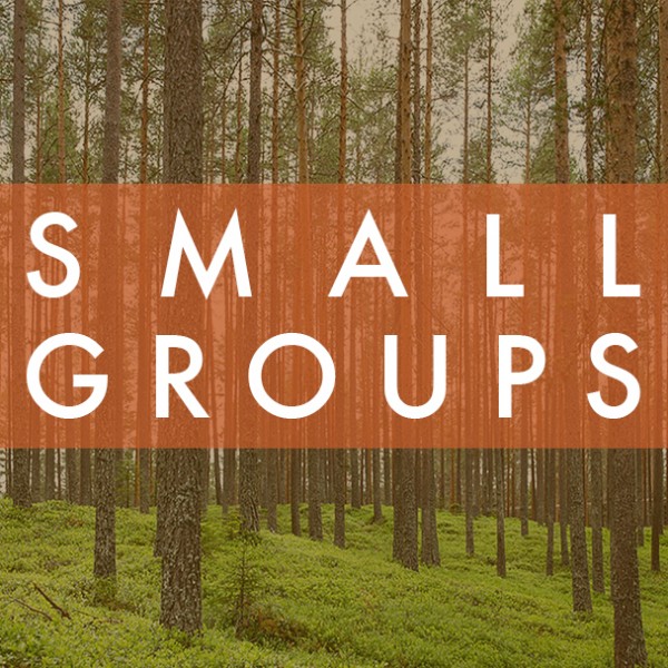 small-groupsSmall Groups