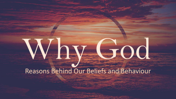 why-god-reasons-behind-our-beliefs-and-behaviourWhy God: Reasons Behind our Beliefs and Behaviour