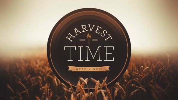 Grow Time Grow Time