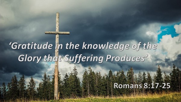 Gratitude in the Knowledge of the Glory that Suffering Produces Gratitude in the Knowledge of the Glory that Suffering Produces