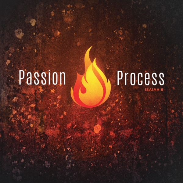 Passion Process Passion Process