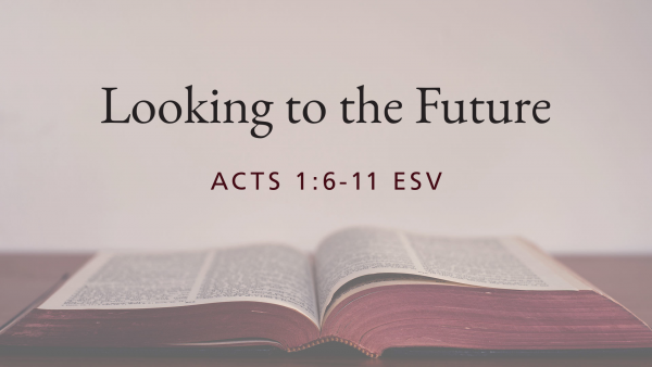 looking-to-the-futureLooking to the Future