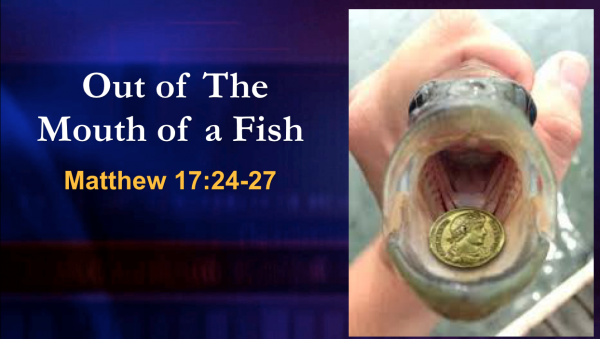 Out of The Mouth of a Fish Out of The Mouth of a Fish