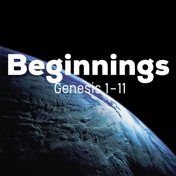 genesis-126-31-made-in-his-imageGenesis 1.26-31 Made in His Image
