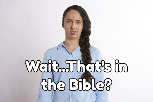 dont-make-fun-of-prophetsDon't Make Fun of Prophets