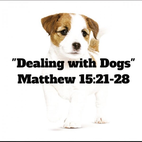 Dealing with Dogs Dealing with Dogs