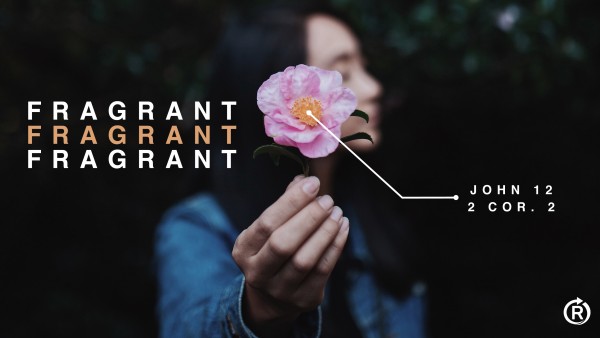a-fragrant-lifeA Fragrant Life