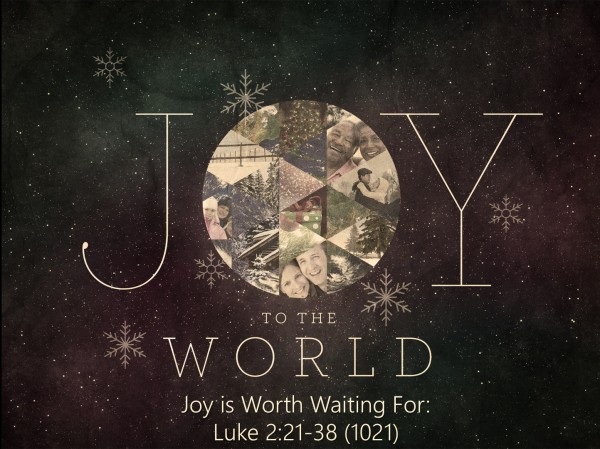 joy-is-worth-waiting-forJoy is Worth Waiting For