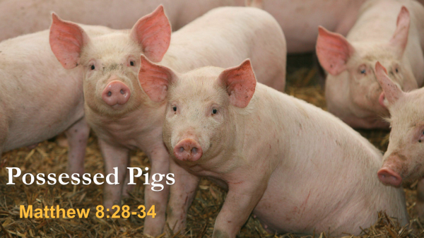 Possessed Pigs Possessed Pigs