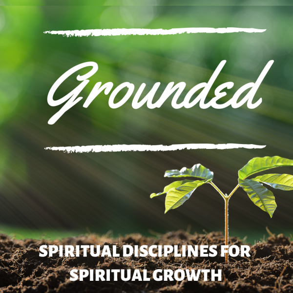 planted-in-the-wordPlanted in the Word