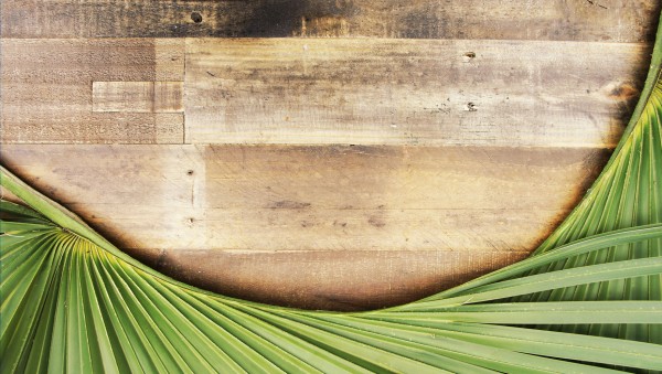 palm-sunday Palm Sunday