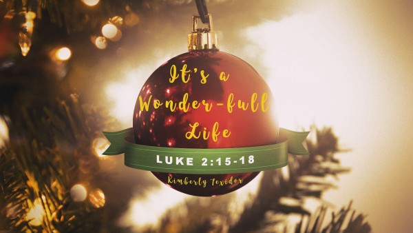 It's a Wonder-Full Life It's a Wonder-Full Life