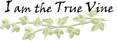 the-meaning-of-lifeThe Meaning of Life