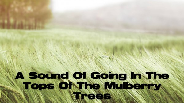 a-sound-of-going-in-the-tops-of-the-mulberry-treesA Sound Of Going In The Tops Of The Mulberry Trees