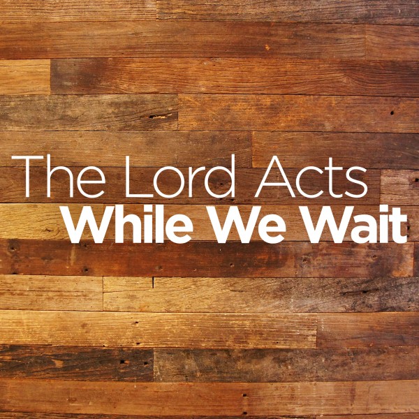 the-lord-acts-while-we-waitThe Lord Acts While We Wait