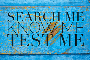 search-me-know-me-test-me