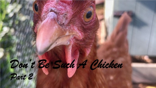 dont-be-such-a-chicken-pt-2-pastor-chuck-rothDon't Be Such a Chicken Pt 2 - Pastor Chuck Roth