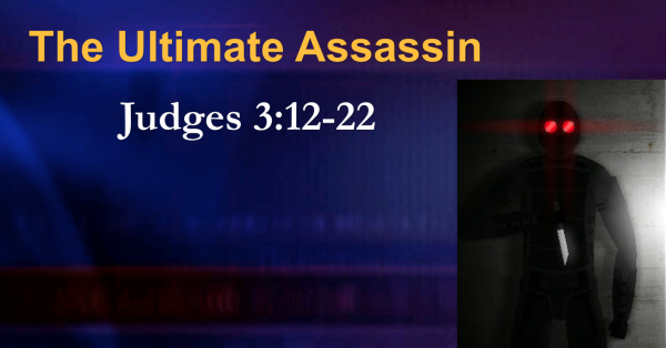 the-ultimate-assassinThe Ultimate Assassin
