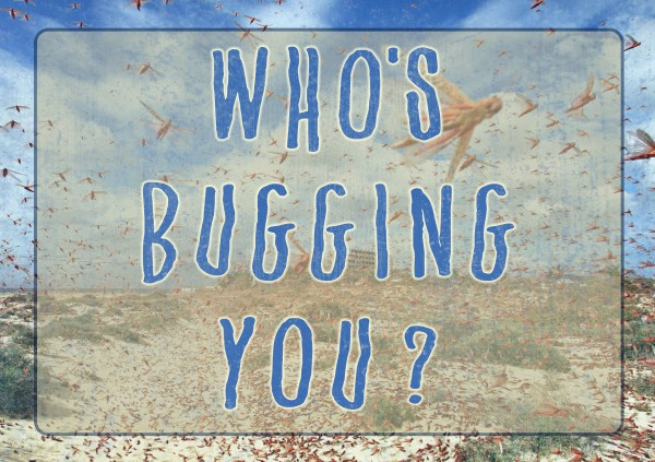 whos-bugging-you-pastor-kenny-smithWho's Bugging You? (Pastor Kenny Smith)