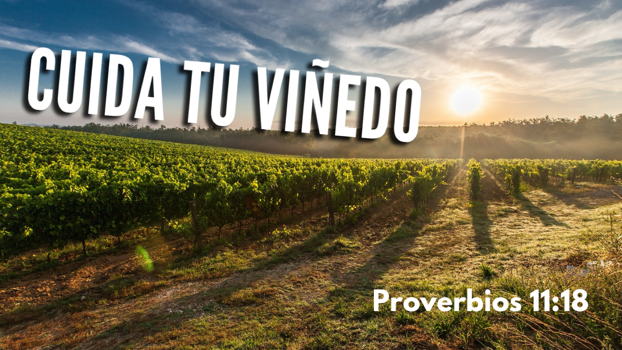 Pastor Roga Ministries