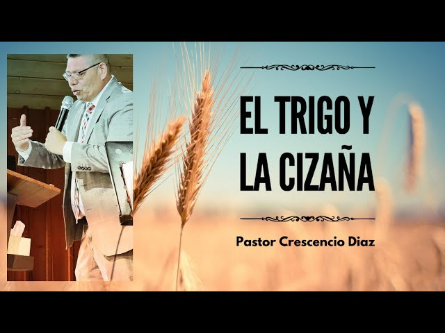 Predicaciones