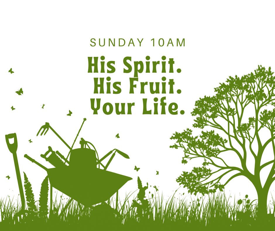 His Spirit, His Fruit - JOY His Spirit, His Fruit - JOY