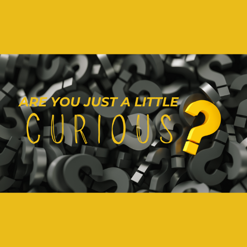 Are You Just A Little Curious?