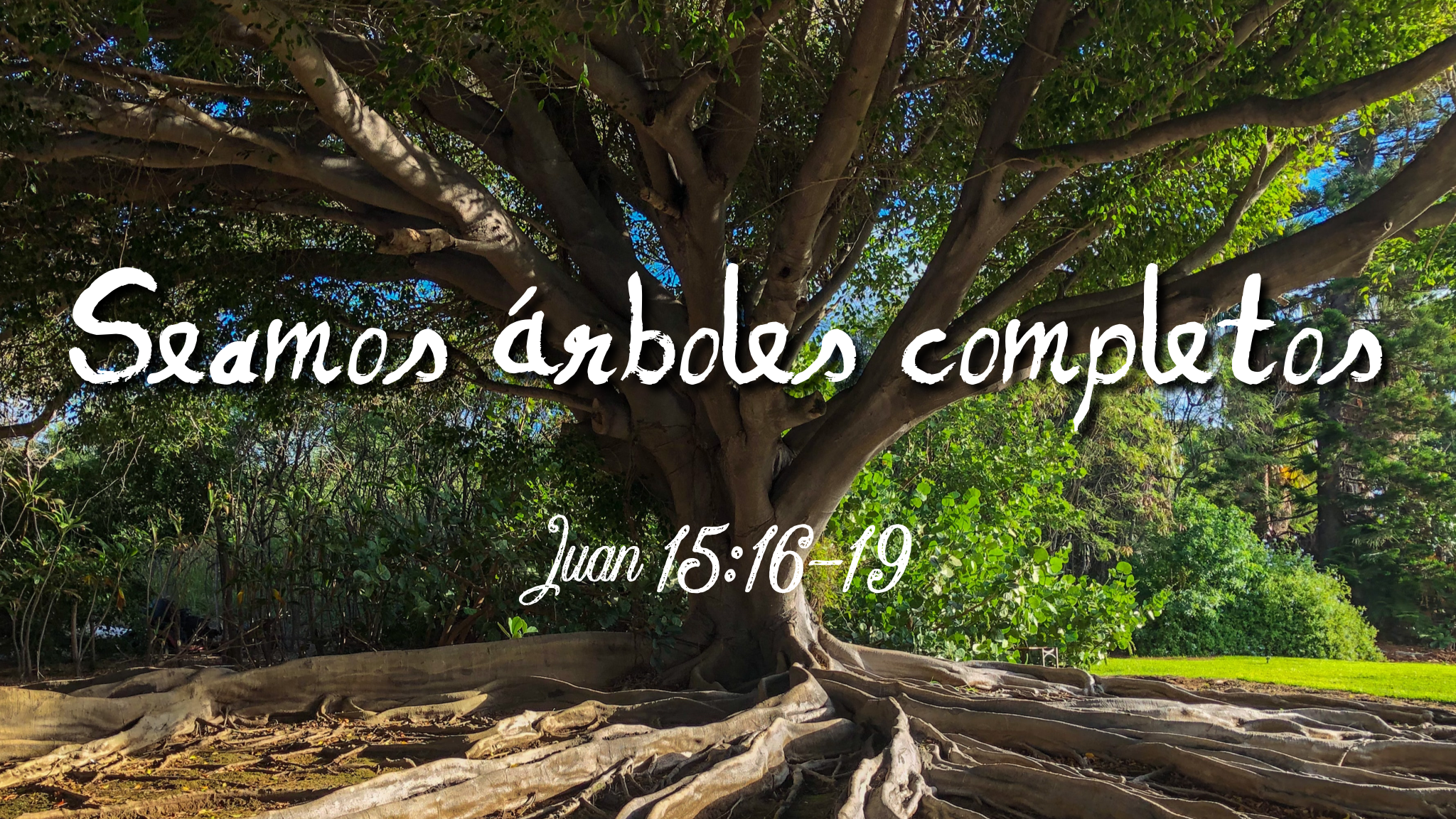 Pastor Roga Ministries