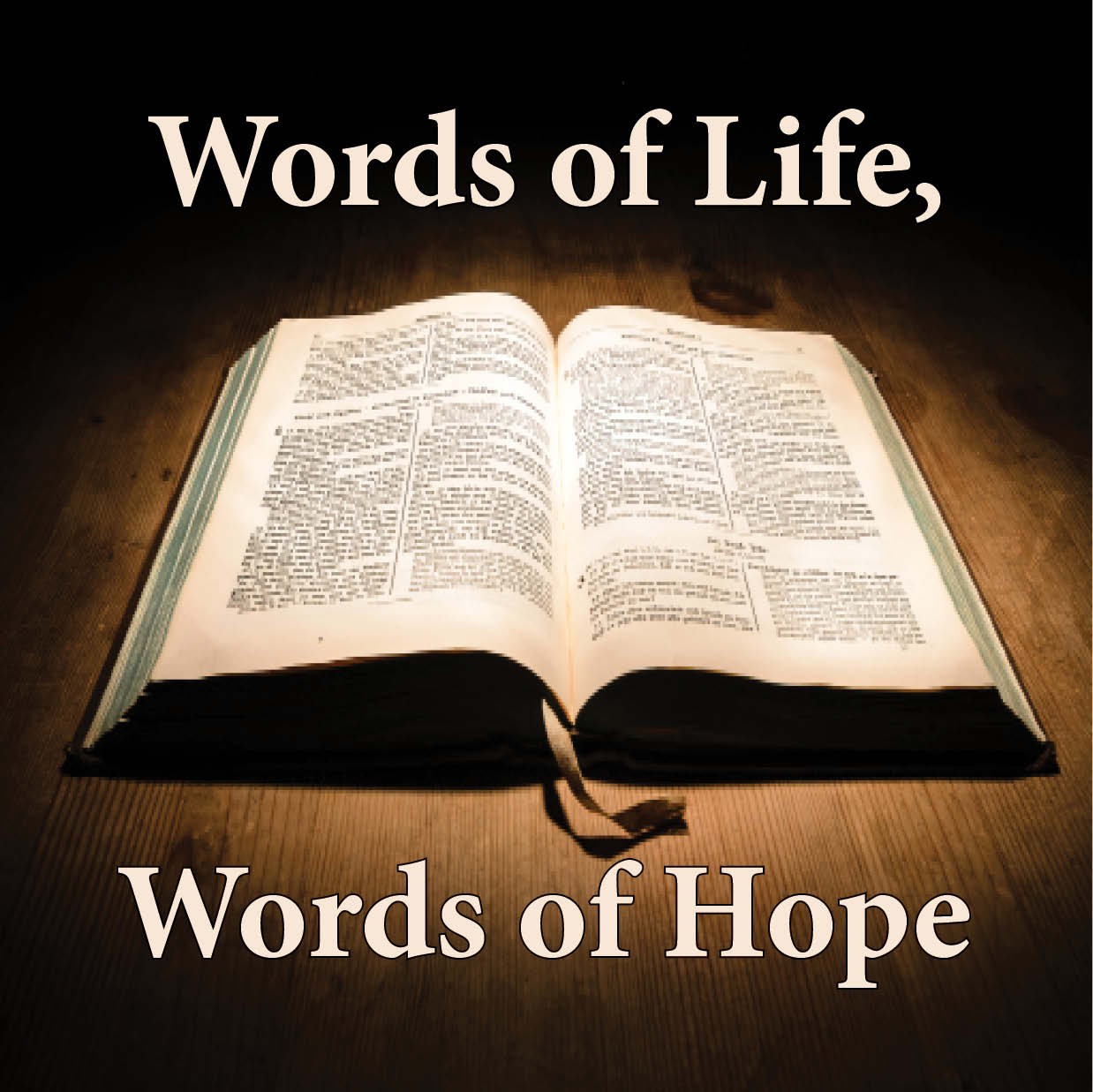 Scripture Readings for the Nineteenth  Sunday in Trinitytide 2023