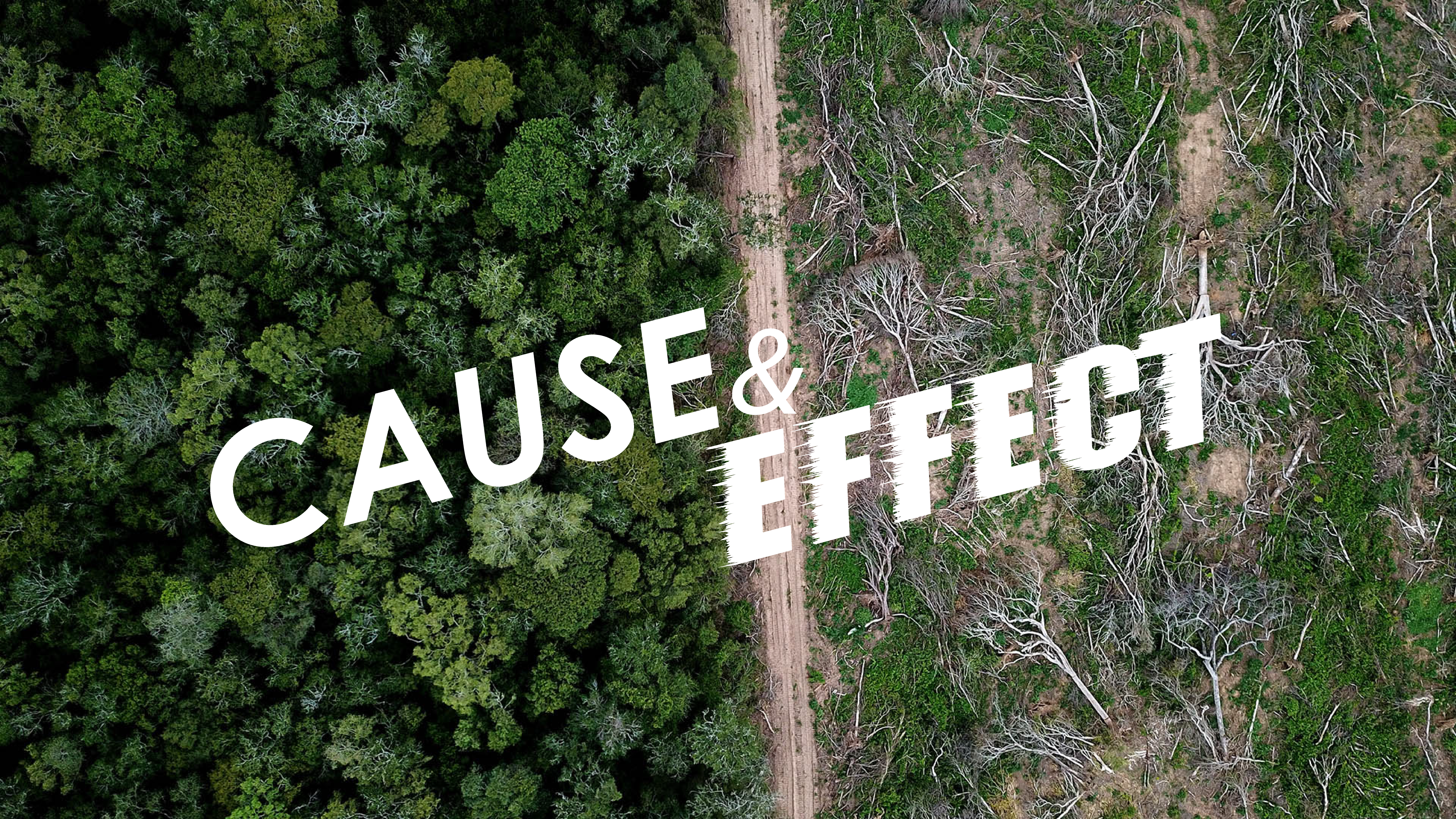 Without Walls Church Video Podcast