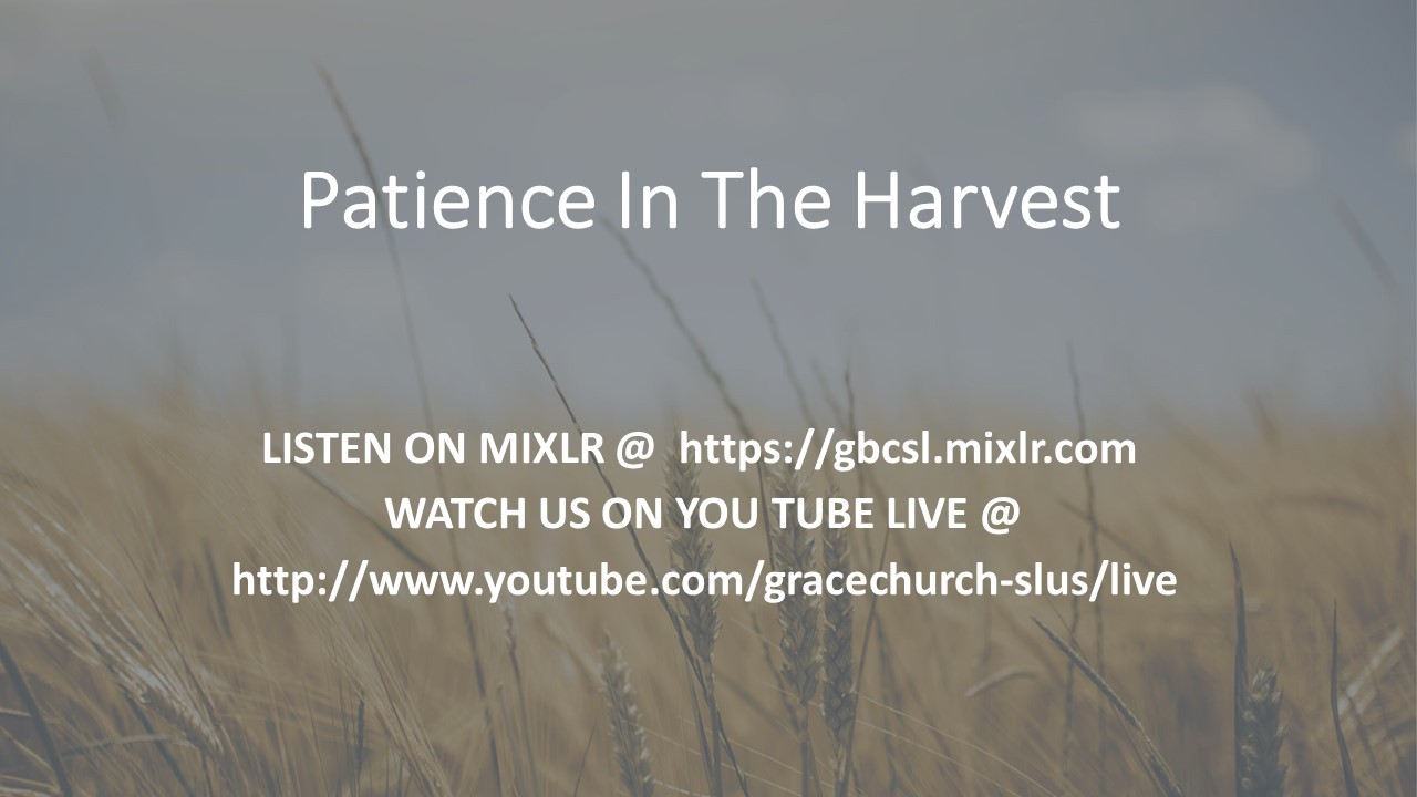Patience In The Harvest