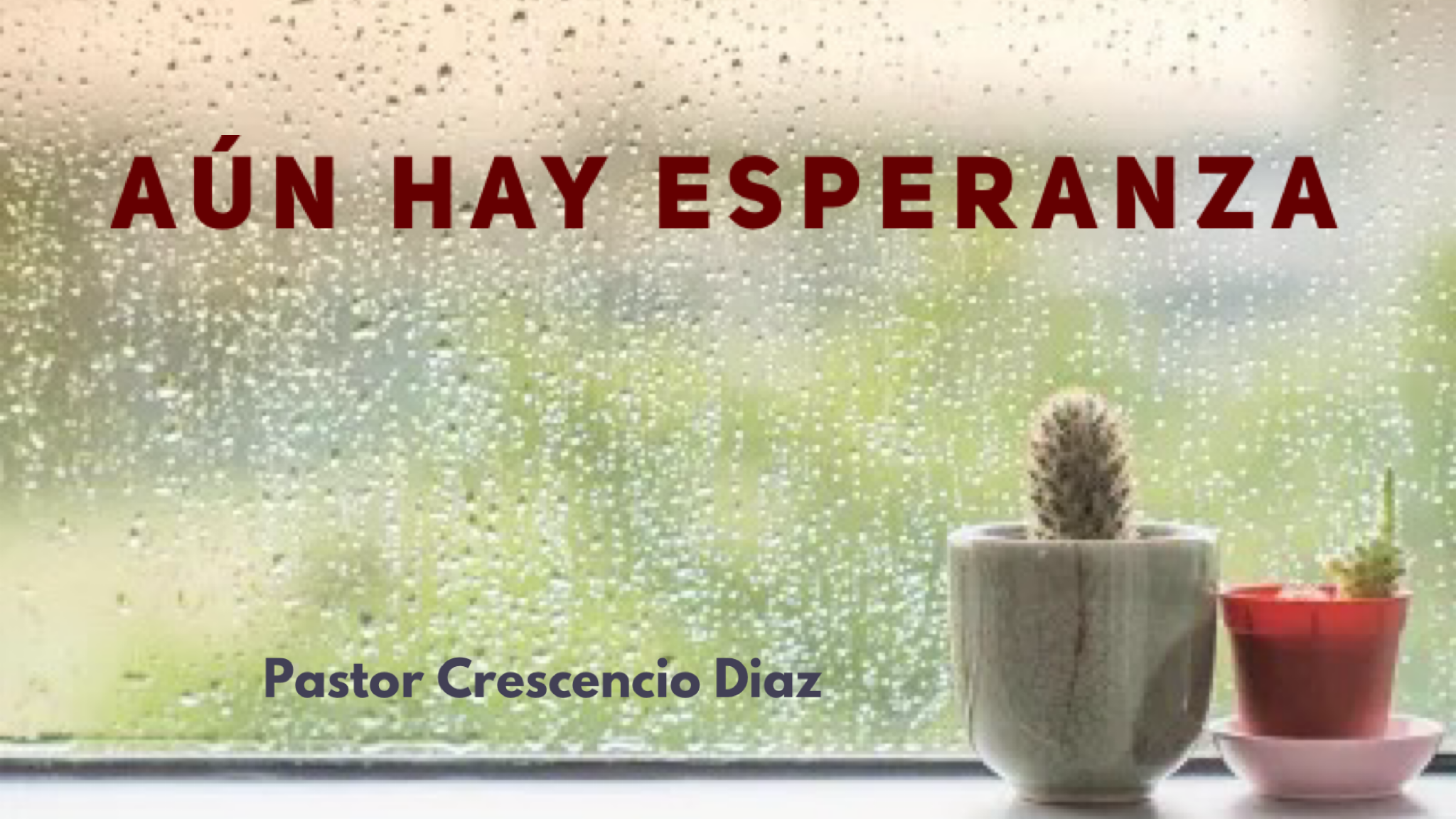 Predicaciones