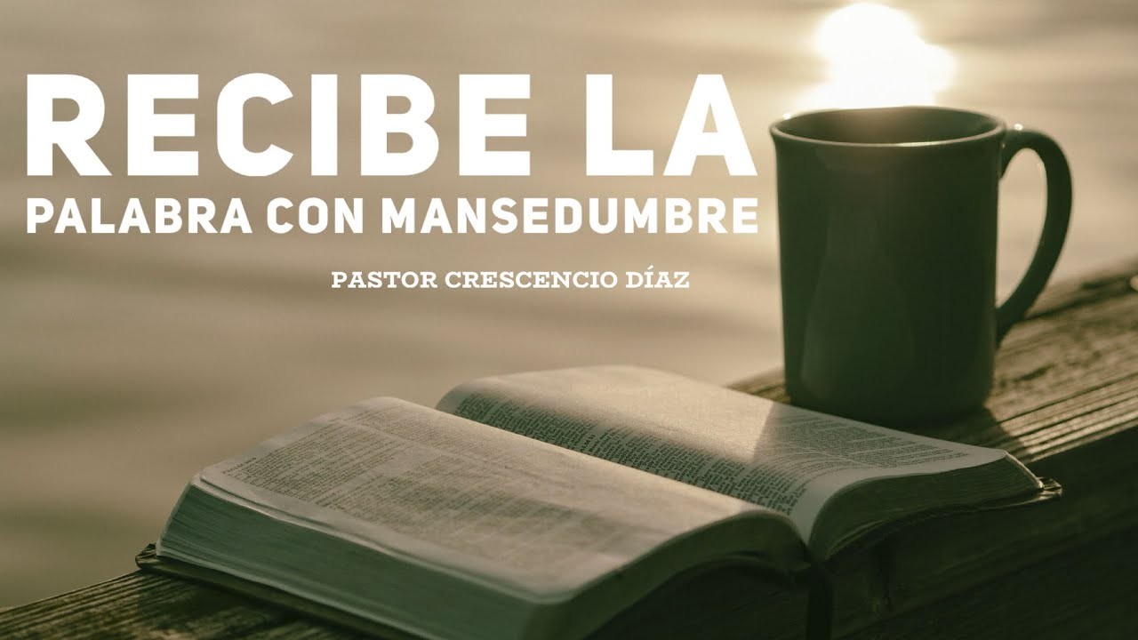 Predicaciones