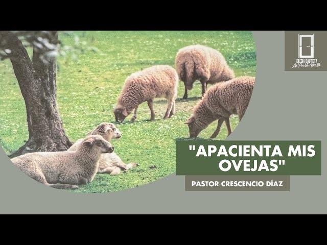 Predicaciones