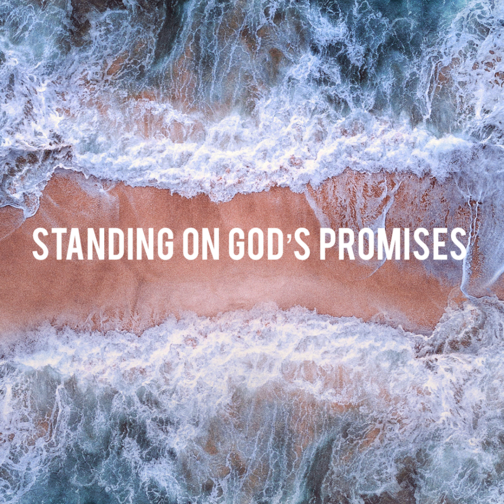cover of episode Ready Position