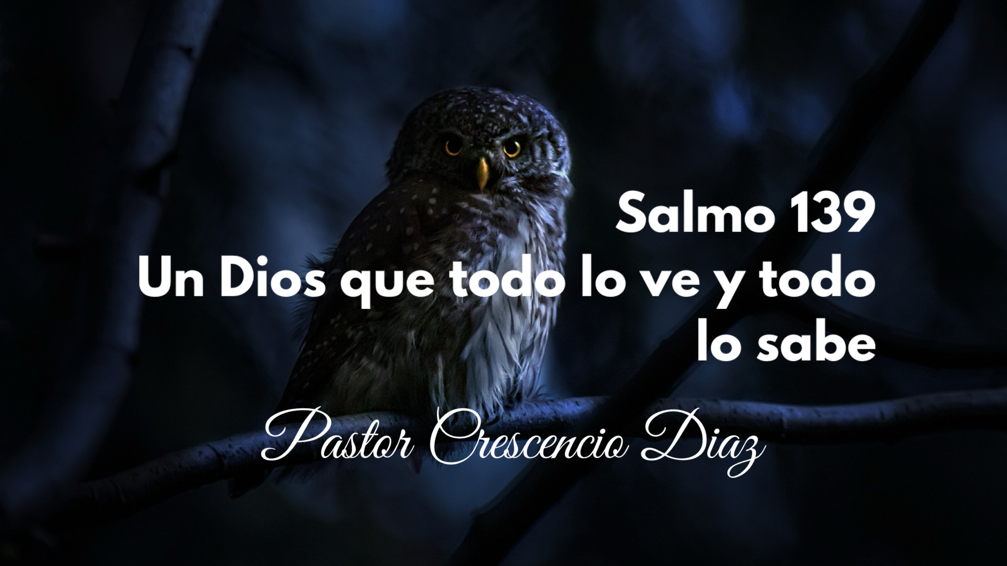 Predicaciones